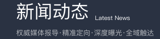 新闻动态
